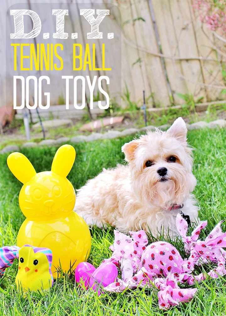 Momma Told Me Affordable Ways To Celebrate Easter With Pets 5 D.I.Y