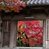 紅葉のお寺～広寿山福聚寺@小倉北区足立山麓