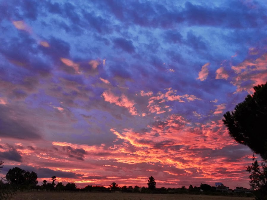 AMANECE EN EL TERRAO