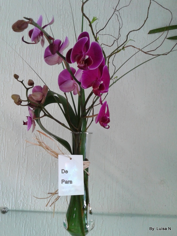 Multivias: Via Artesanato: Arranjos Florais com Orquídeas