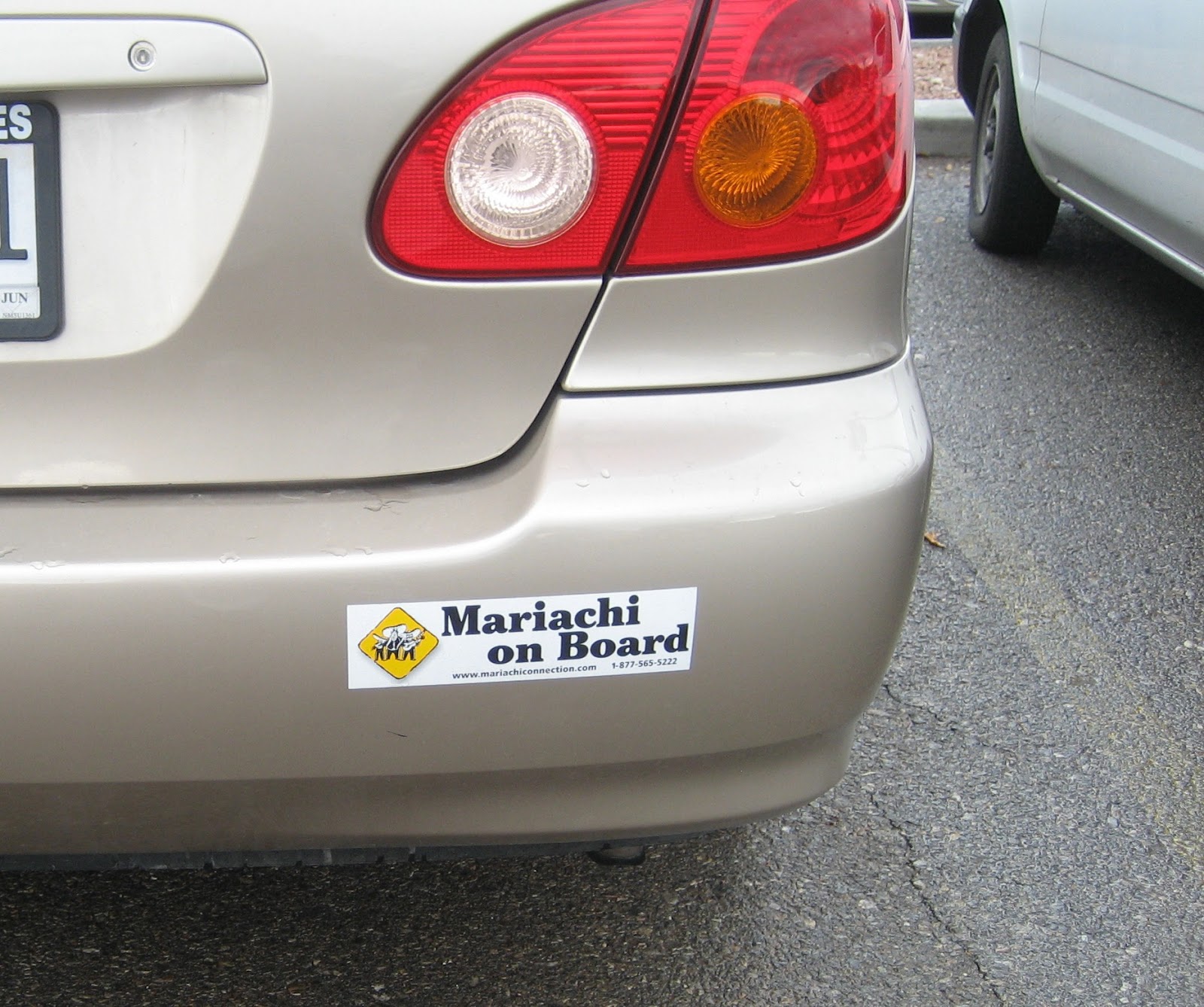 Living Rootless Las Cruces, NM Mariachi Conference Mariachi music