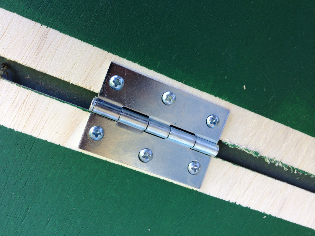 The Sassy Pickle Homemade Ping Pong