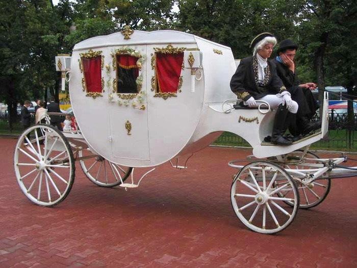 Love and marriage…go together like a horse and carriage! - Dressage Hafl - Love And Marriage Go Together Like A Horse And Carriage