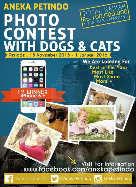Aneka Petindo Photo Contest With Dogs & Cats