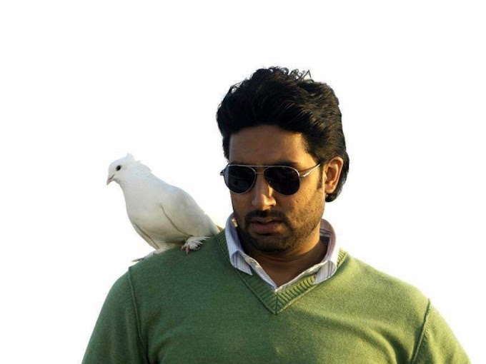 Upcoming Movies Of Abhishek Bachchan 2016-2017 With Release Dates