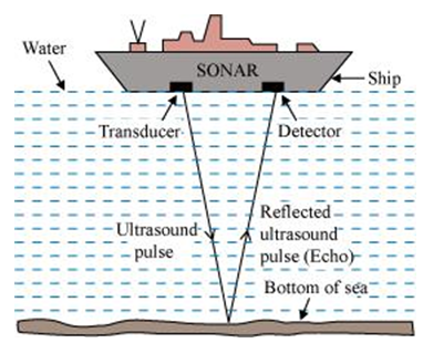 Sound   notes and questions,sonar principle,and working,science for class 9,