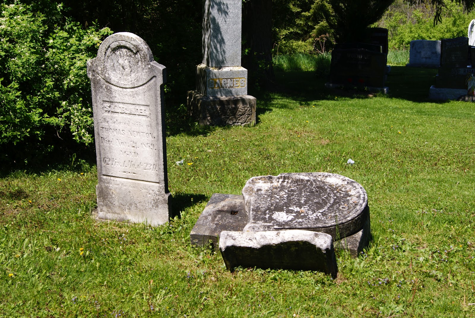 The Jolly Taphophile (Graveyard Junkie) Lowville United Cemetery