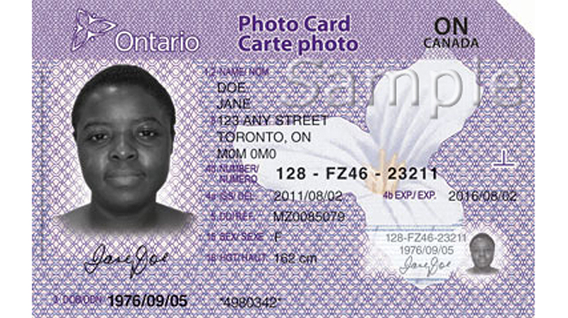 out of poverty now new photo id card now available official id card sample