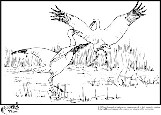 dancing stork coloring pages