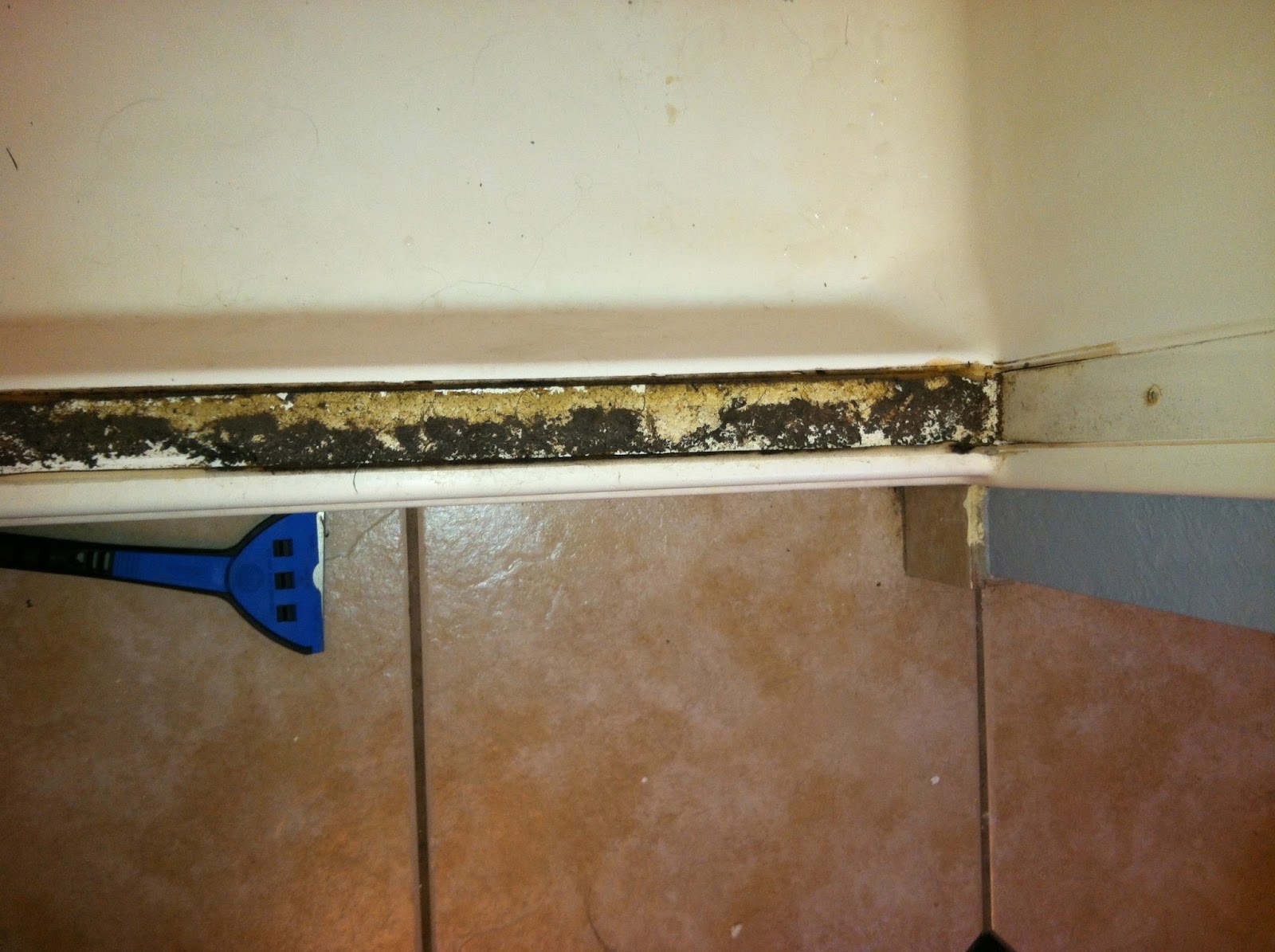 KELL PLACE taking off a sliding shower door