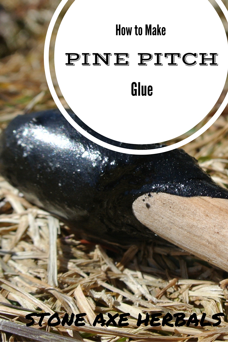 How to Make Pine Pitch