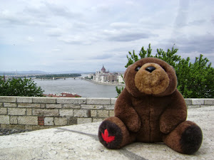 Teddy Bear in Budapest