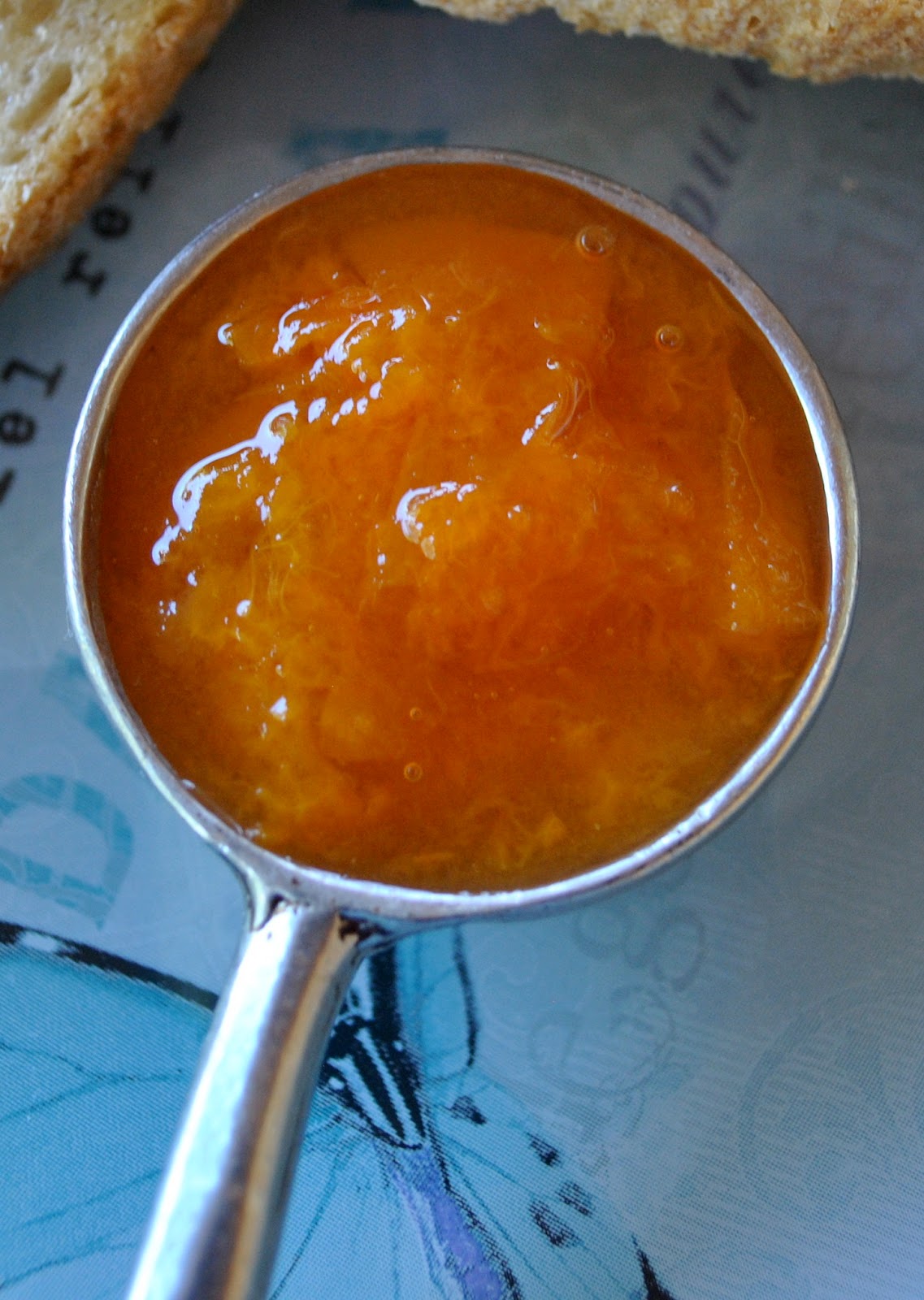 easy homemade refrigerator apricot jam