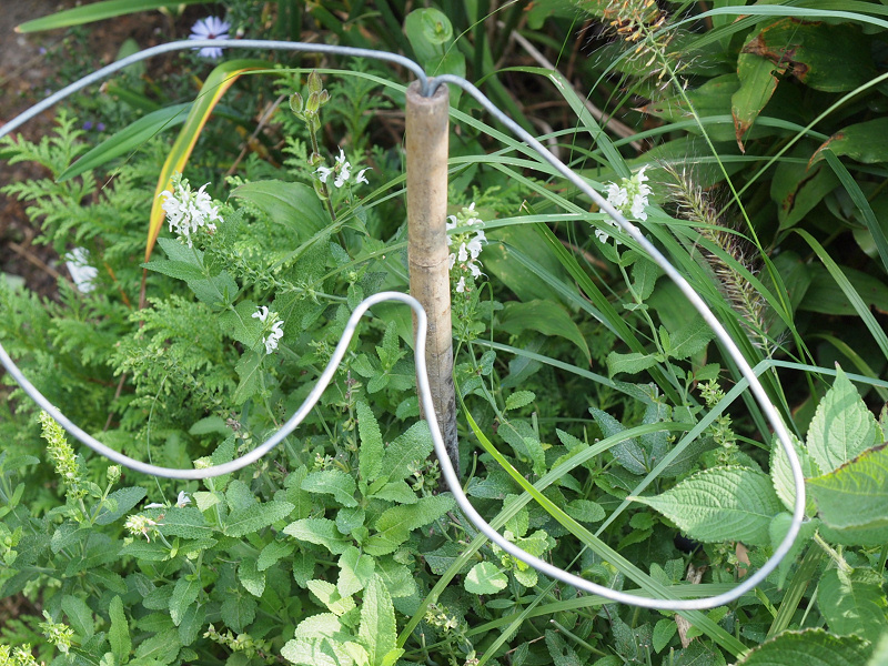 Meine grüne Leidenschaft: Pflanzenhalterung selbst gemacht