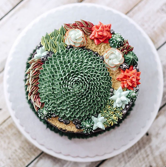 succulent cake design
