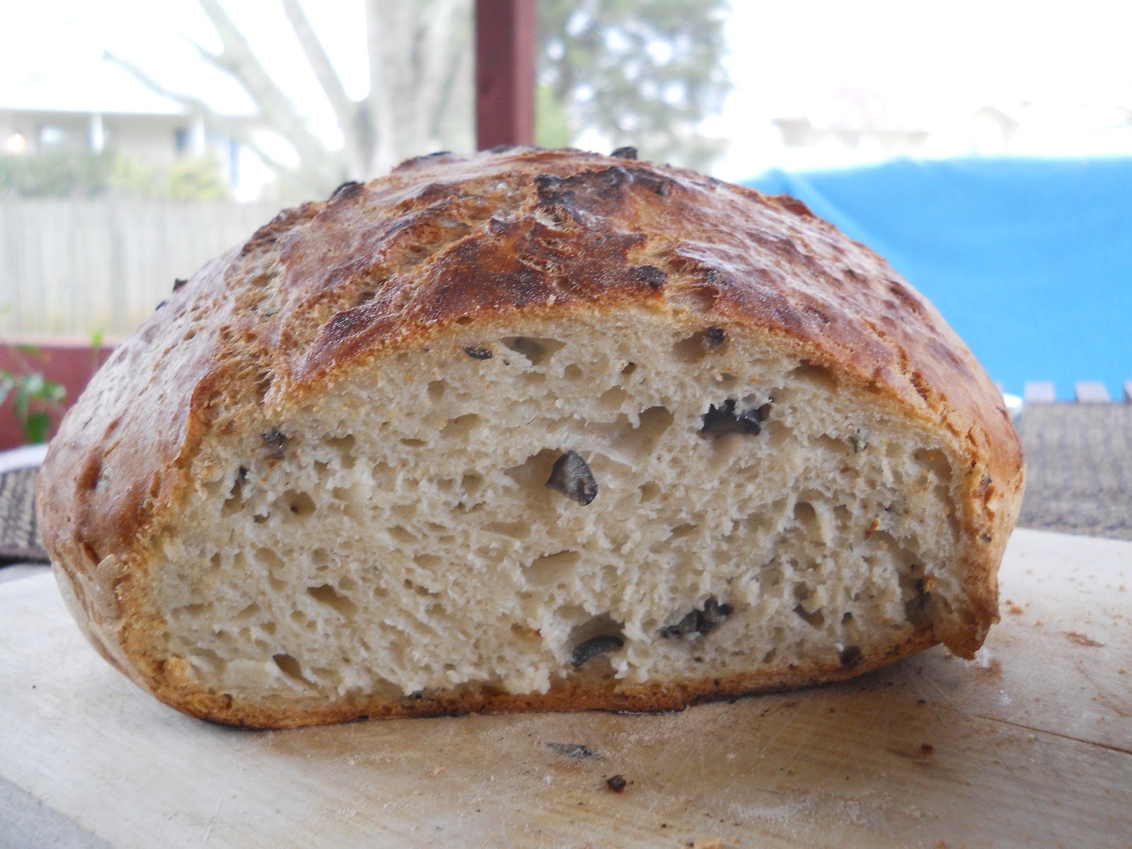 Trend Hopping Crusty Mediterranean black olive rosemary bread