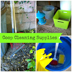 coop chicken cleaning clean supplies backyard coops keep sunnysimplelife poultry chickens onto favorite