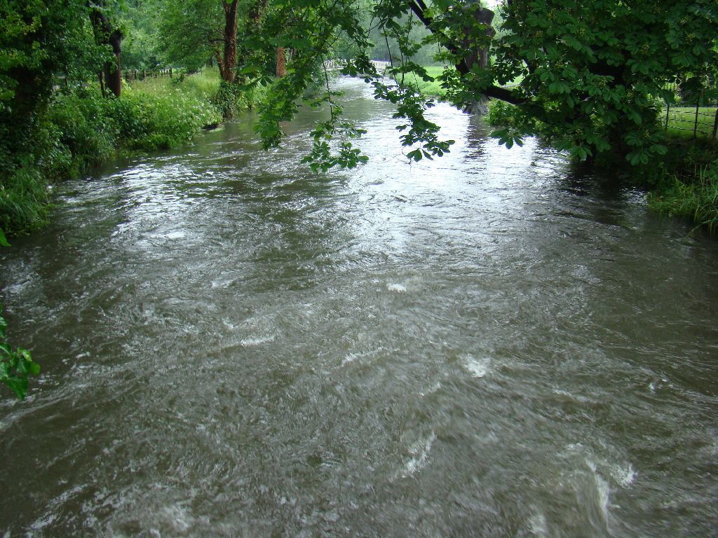 What Is The Weather In June In London