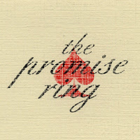 promise ring horse latitudes 1