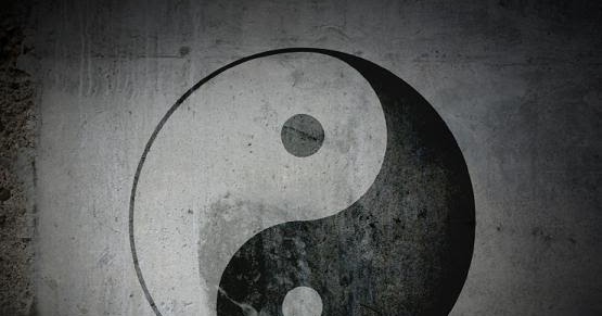 Frasi Dai Libri Pensieri Frasi Libri Cuore Guerriero 4