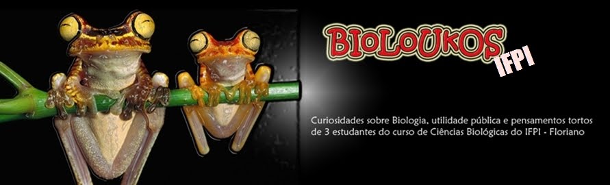 BioLoukos - IFPI Flo