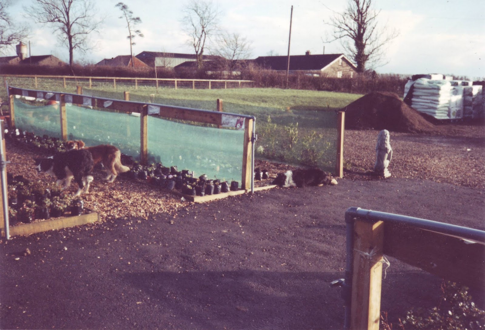 Preston Bissett Nurseries and Country Shop Preston Bissett Nurseries