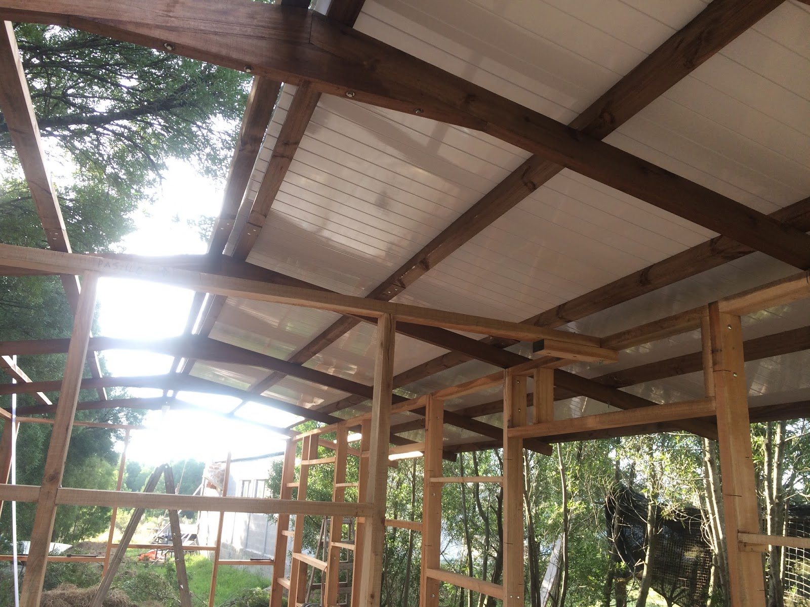 Sashlyr: Arte y decoración: 3- Construyendo la Casa: Techo y revestimiento