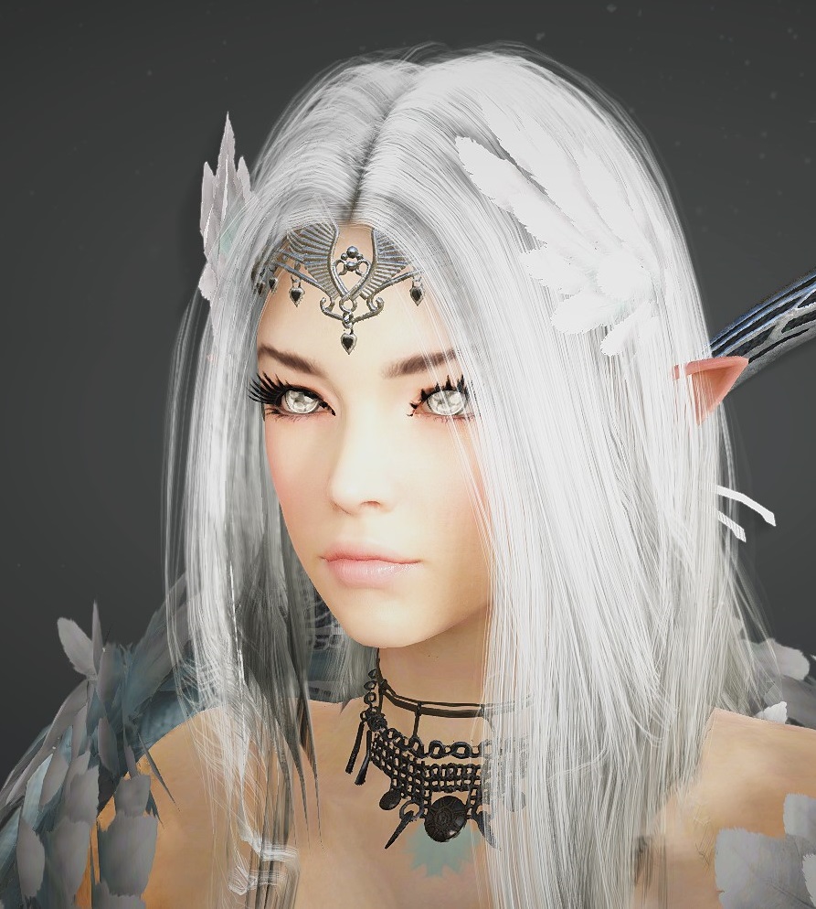 dark knight templates bdo how to bdo character templates dark knight templates bdo how to bdo character templates