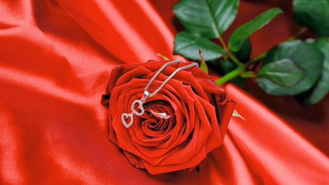 Rosa Roja y Anillo para San Valentín