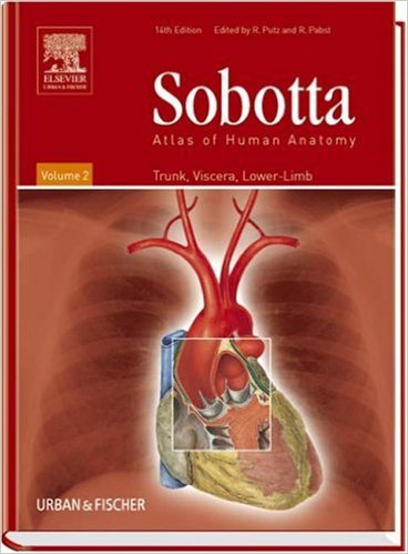 sobotta ebook free download Free download ebook sobotta