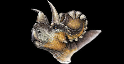 Wendiceratops reconstruction