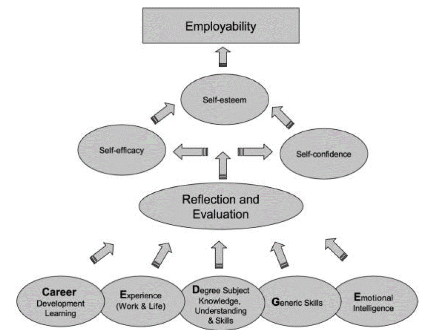 Tom's Careers In Sport Placement Blog A sample of some of my placement tasks to date