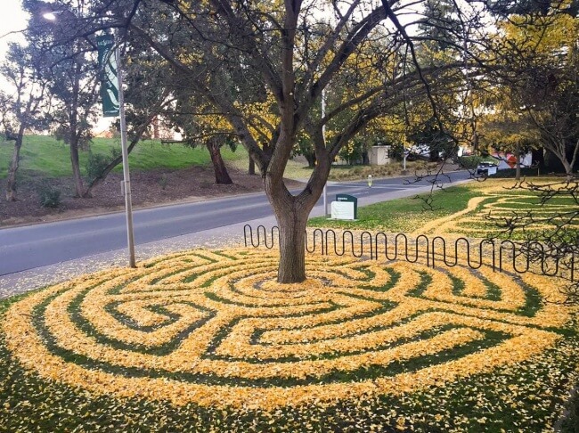 18 Extraordinary Pictures: Filters Fade in Front of Nature’s Magnificence - A labyrinth of fallen leaves