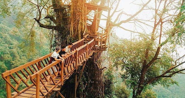 Wisata Rumah Pohon & Jembatan Kayu Gantung Curug Ciherang