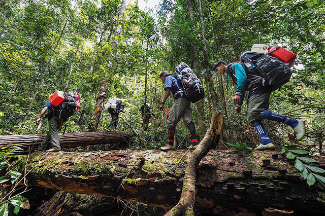 Gunung Beriun, Beriun, Kutai Timur, Karst Sangkulirang Mangkalihat, Puncak Beriun, Beriun Raya, Puncak Gunung Beriun, Karst Sangkulirang, Karst Mangkalihat, Sungai Marak, Karst Ara Raya, Karst Tutunambo, Kabupaten Berau, Sangatta, Epikarst, Perikarst, Kalimantan Timur, Subkarst, Karst, Hutan Kalimantan, Hutan Tropis, Karst Tondoyan, Puncak Gunung Beriun, Black Borneo Expedition, Eiger, Merabu, Karst Merabu, Karst, Pindi Setiawan, Mamay S Salim, Djukardi Adriana, Kang Bongkeng, Kang Mamay, Iwan Irawan, Kwecheng, iwan Kwecheng, Yunaidi Joepoet, Galih Donikara, Dayak Basap
