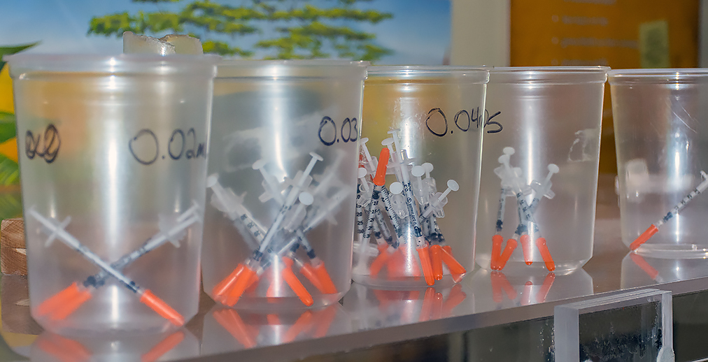 Croquage Injection Pacific Science Center Life Sciences: Treating a Colony