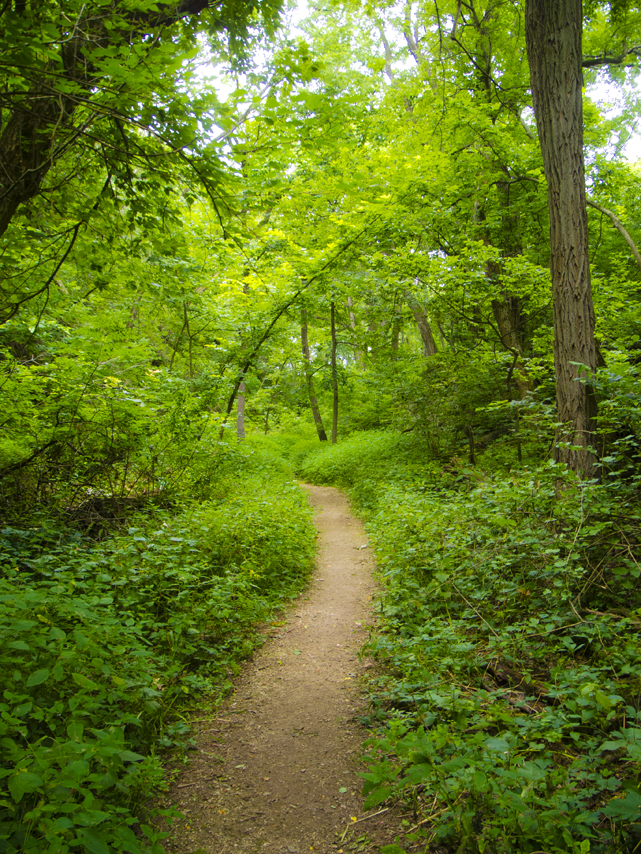 Hoyt Park Madison WI