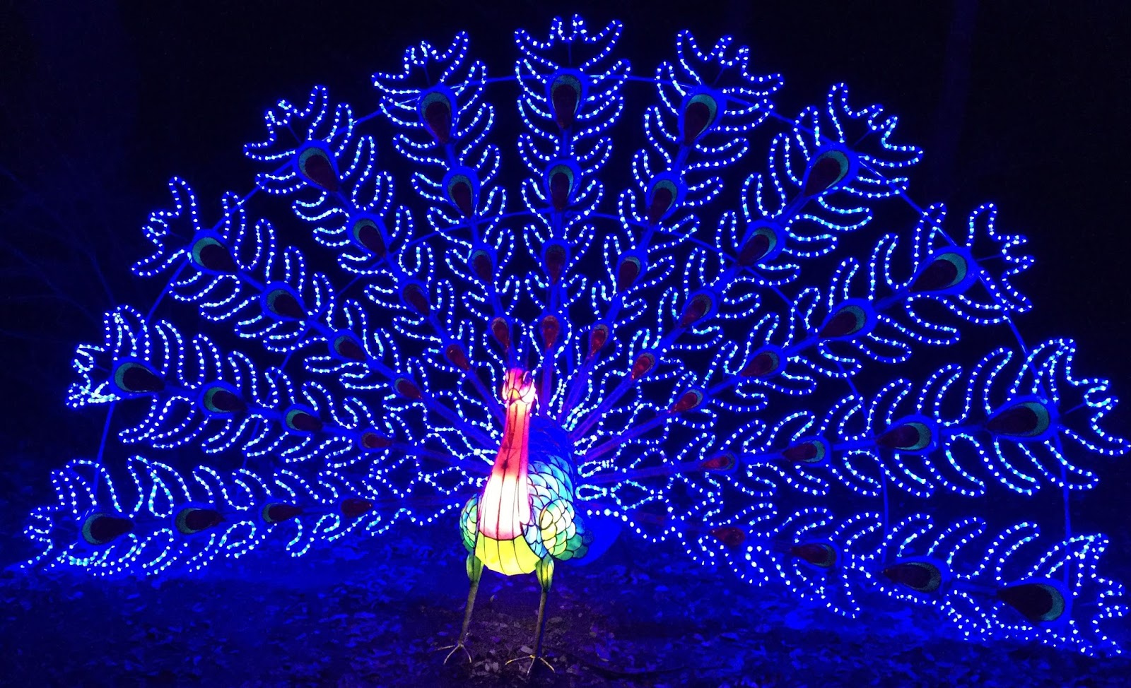 On the Bridge: Chinese Lantern Festival
