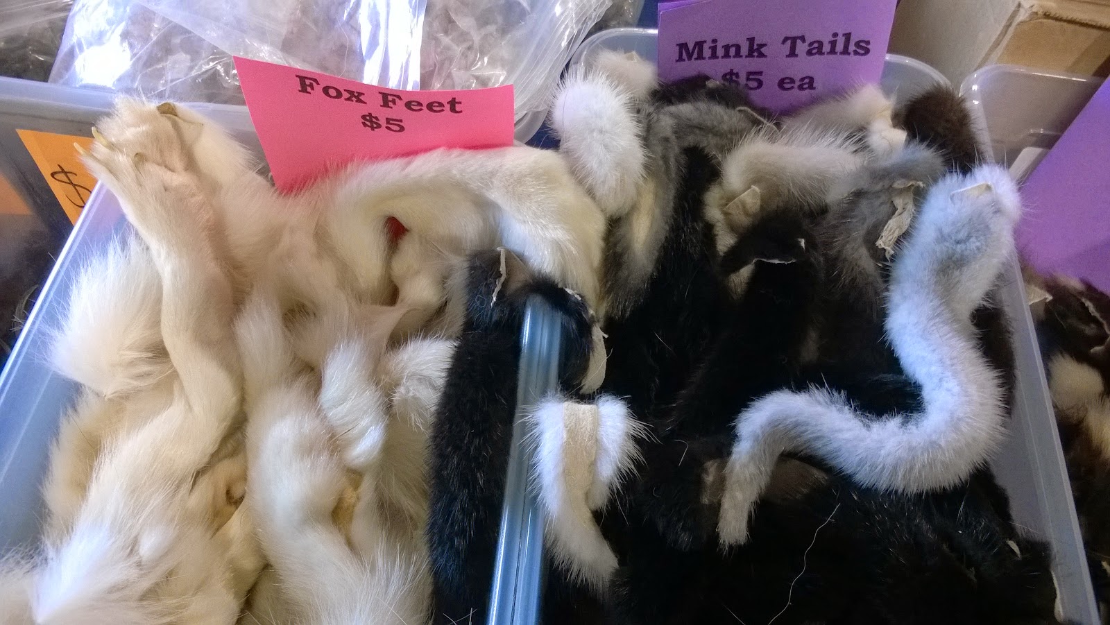 Fox feet and mink tails