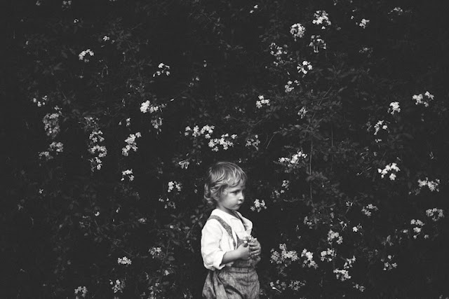 ©lamblovesfox pour La Princesse au petit pois®