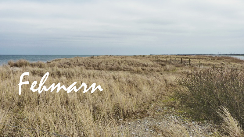 Neues Vom Hof Wichtelweide Auf Fehmarn Mit Einer Tollen Verlosung