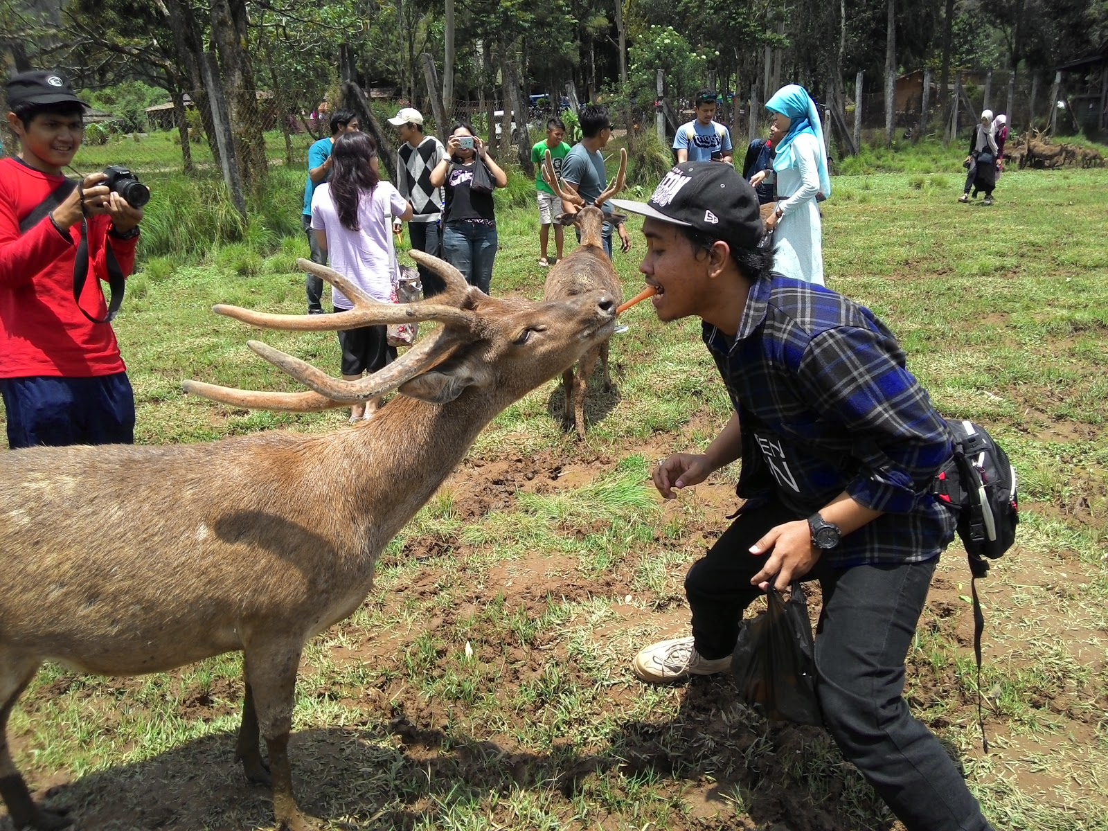 Camping Seru di Ranca Upas Ciwidey