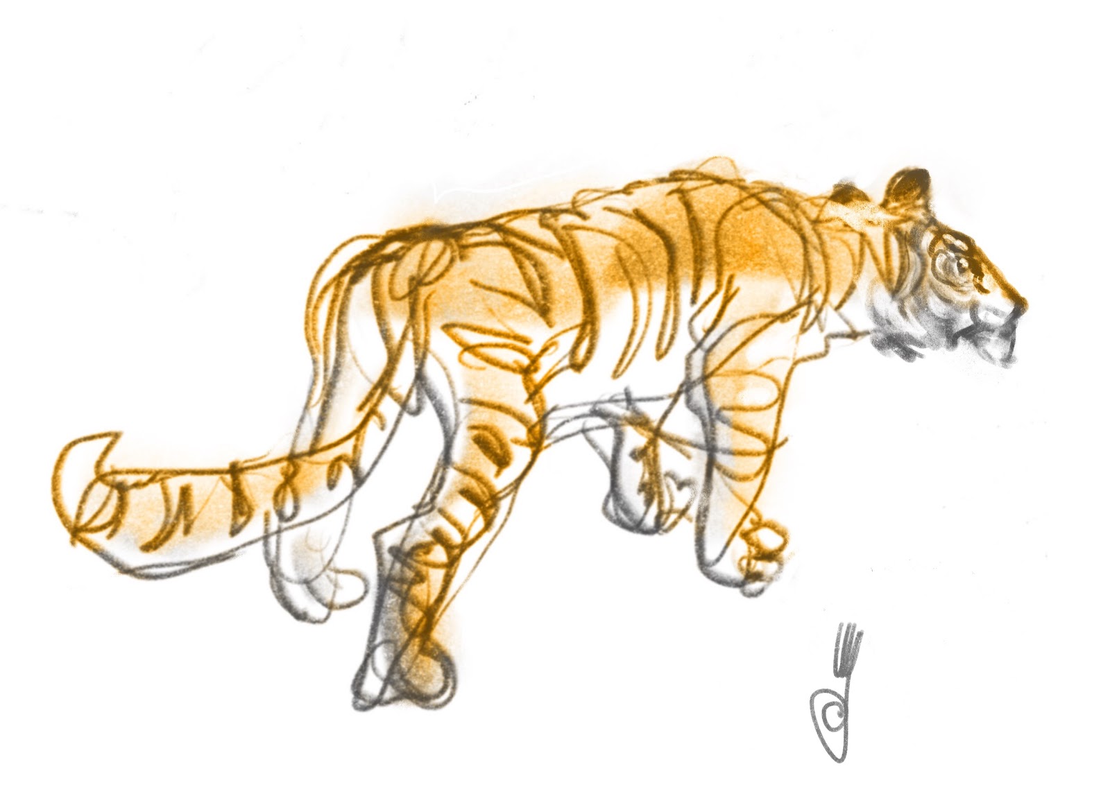 Gesture Drawings Tiger Doodle