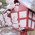 Sakura no Japão | A floração das cerejeiras ♡