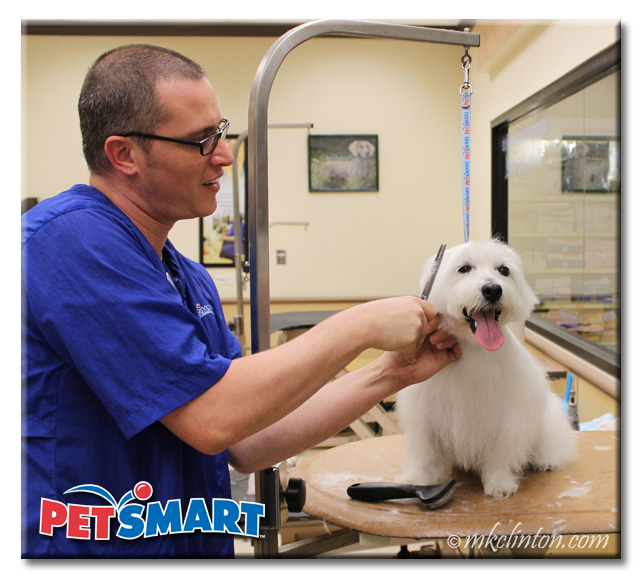 Barking from the Bayou