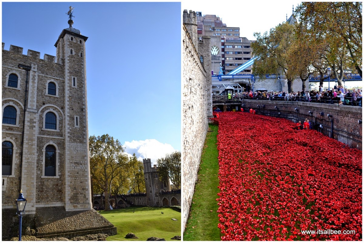 tower of london poppies | tower of london pictures