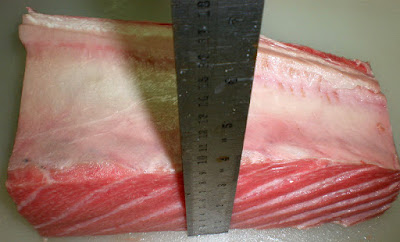 tuna manufacturing Directory of companies who are exporters and sellers of tuna tuna fish sellers & fish exporters of tuna company specialized in the manufacturing, . tuna manufacturing Directory of companies who are exporters and sellers of tuna tuna fish sellers & fish exporters of tuna company specialized in the manufacturing, .