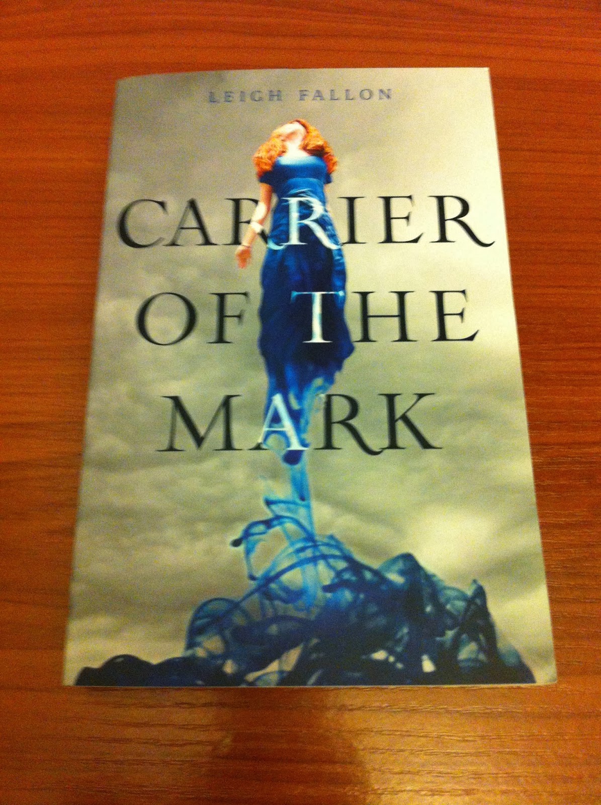 IMM 17 The Book Keeper