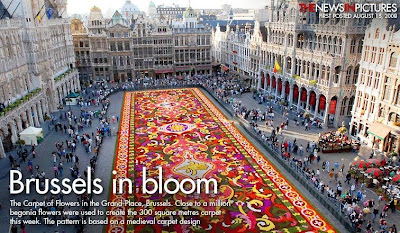 Brussells in bloom