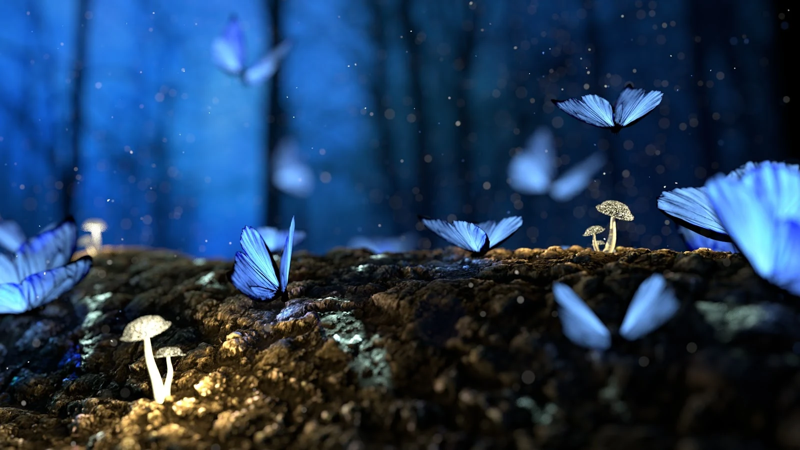 薄暗い森の中の白い小さな茸と共に青い蝶が何匹も集まっている